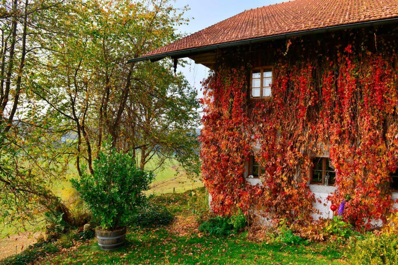 Hofatelier Menacher Neureichenau Dış mekan fotoğraf